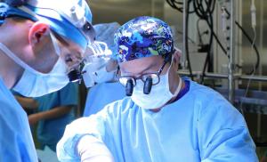 Жизнь после смерти