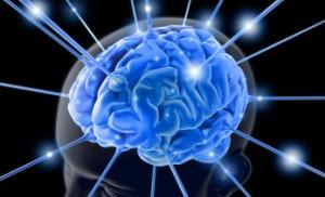 Третий конгресс нейрохирургов Республики Казахстан