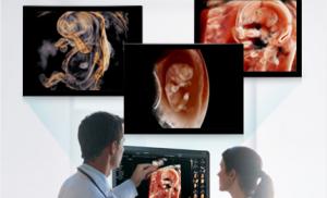 Международный класс в Фредом Ушаковым