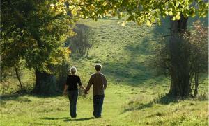 Прогулки без телефона позитивно влияют на психологическое здоровье