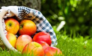 Яблоки для здоровья