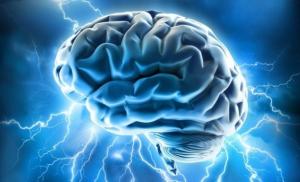 25 процентов обмена веществ организма человека происходит в головном мозгу