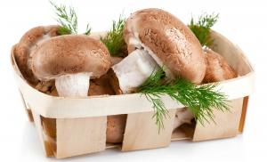 Интересные факты о грибах: грибы - это больше, чем просто продукт приятный на вкус