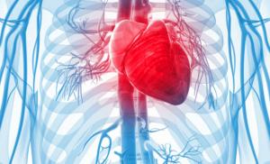 Мастер-класс по интервенционной кардиологии