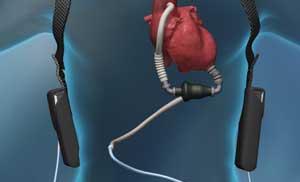 Казахстан важный партнер для мировых инвесторов