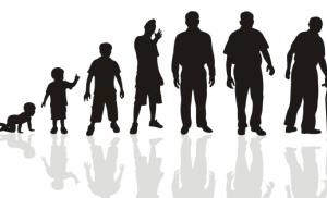 Качественно прожить до старости и умереть быстро