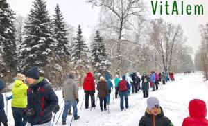 Бесплатный мастер-класс по скандинавской ходьбе
