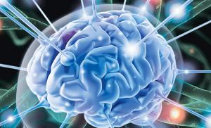 Возможно ли, что зона, отвечающая за память, находится за пределами головного мозга?