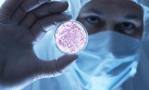 Ученые открыли механизм защиты бактерий от антибиотиков